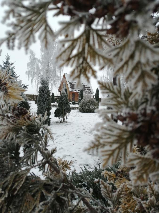 Hotel Usadba Kupalinka Ostrovo Exteriér fotografie